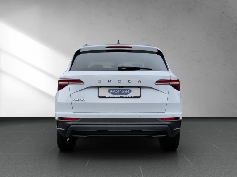 Karoq 2.0 TDI DSG Tour