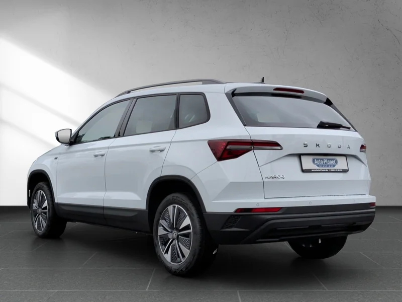Karoq 2.0 TDI DSG Tour