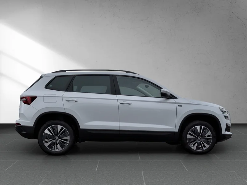 Karoq 2.0 TDI DSG Tour