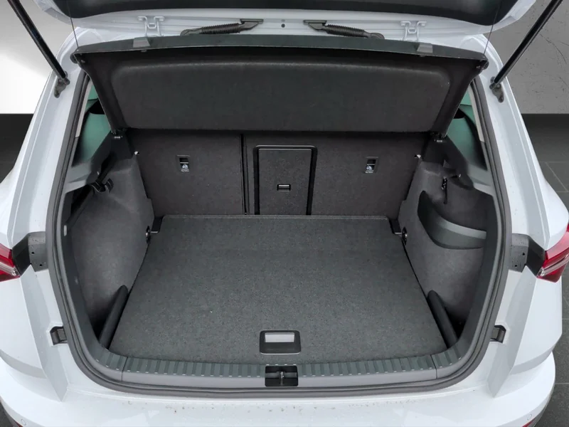 Karoq 2.0 TDI DSG Tour