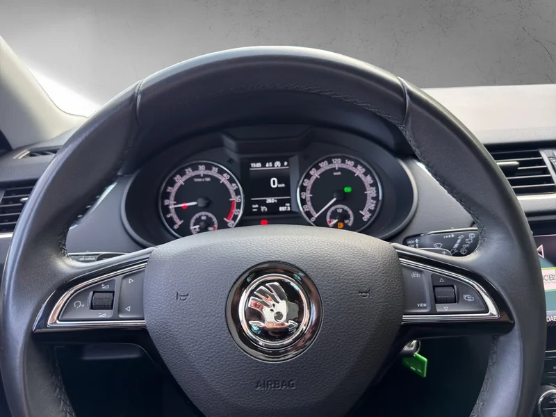 Octavia Combi III 2.0 TDI DSG Soleil