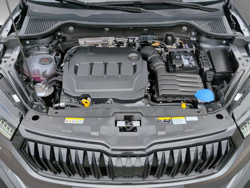 Karoq 2.0 TDI DSG 4x4 Sportline