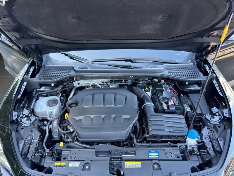 Formentor 2.0 TSI DSG 4Drive VZ