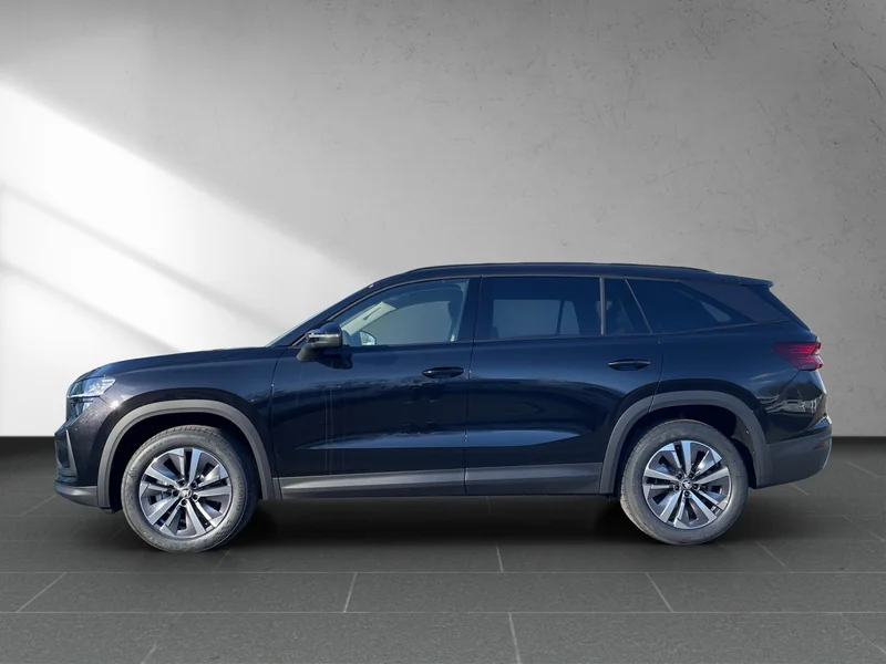 Kodiaq II 2.0 TDI DSG Selection