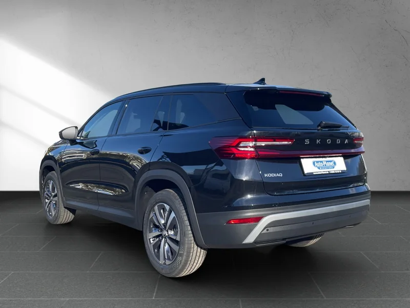 Kodiaq II 2.0 TDI DSG Selection
