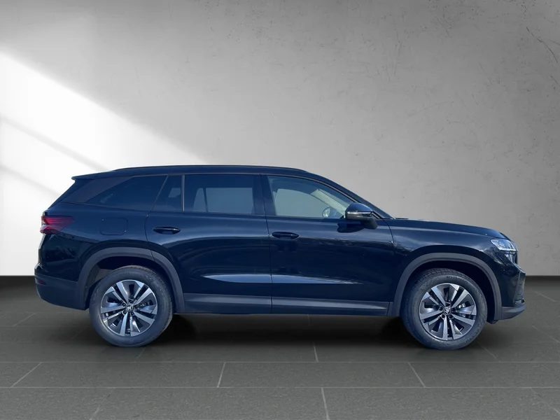 Kodiaq II 2.0 TDI DSG Selection