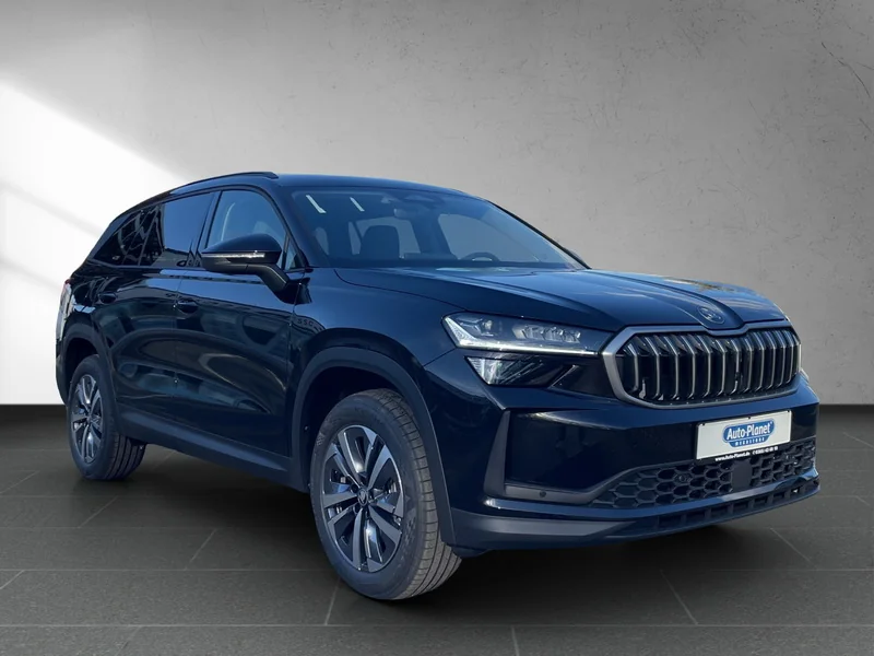 Kodiaq II 2.0 TDI DSG Selection