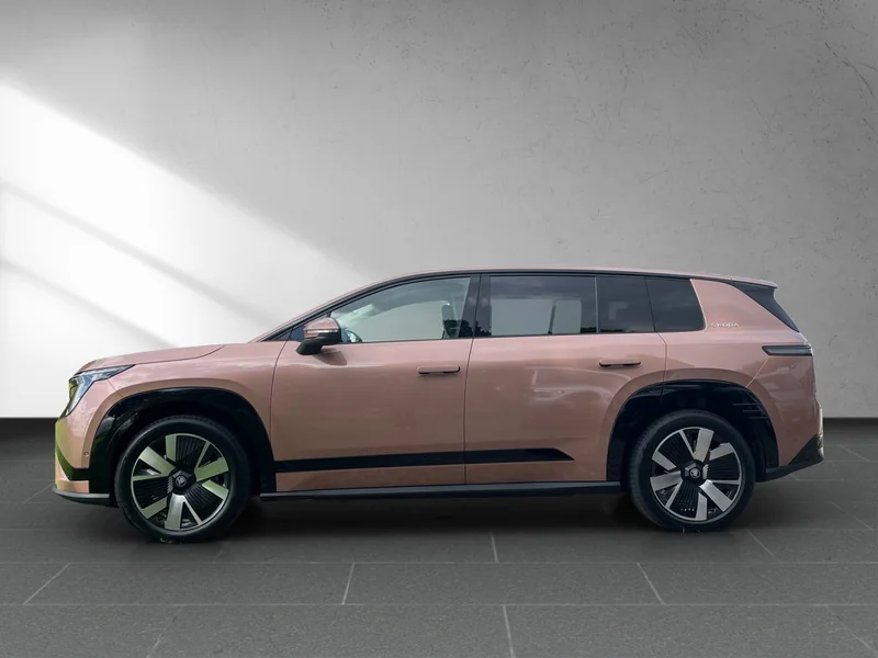 Peaq Selection 90 (91 kWh)