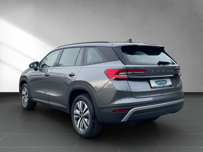 Kodiaq II 1.5 TSI m-HEV DSG Selection