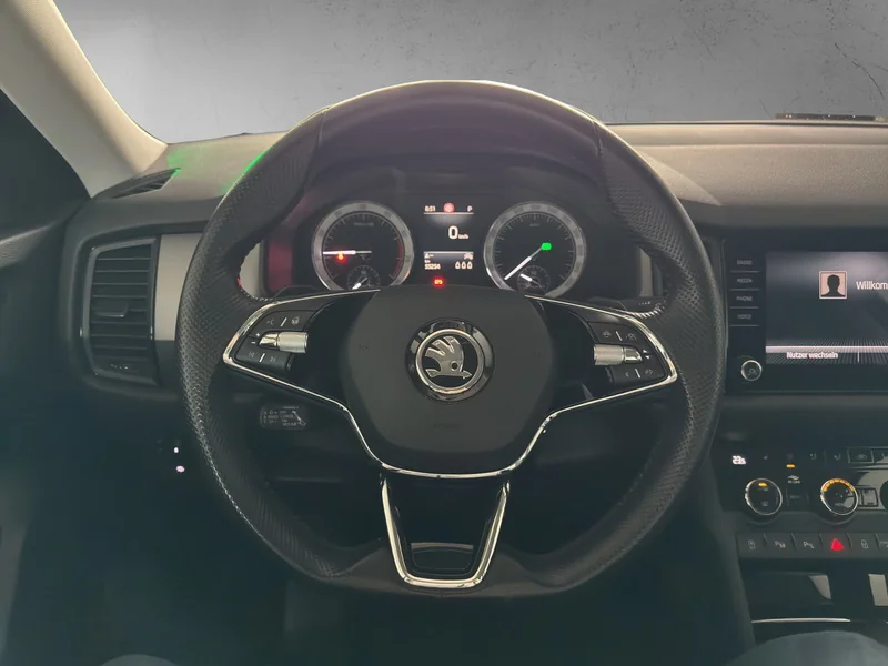 Kodiaq 2.0 TSI 4x4 DSG Clever