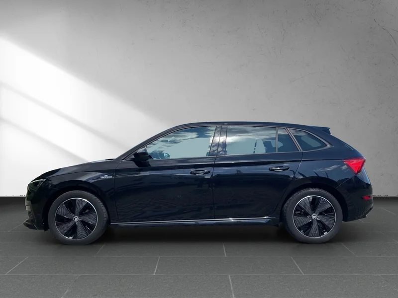 Scala 1.5 TSI Monte Carlo