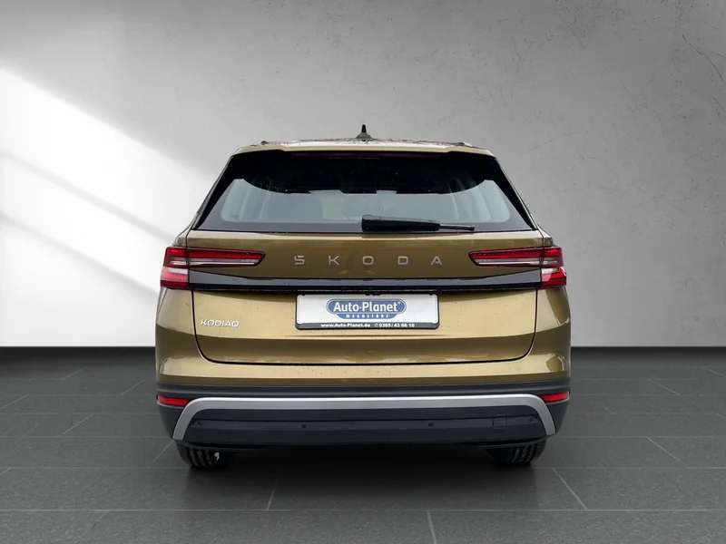 Kodiaq II 1.5 TSI m-HEV DSG Selection