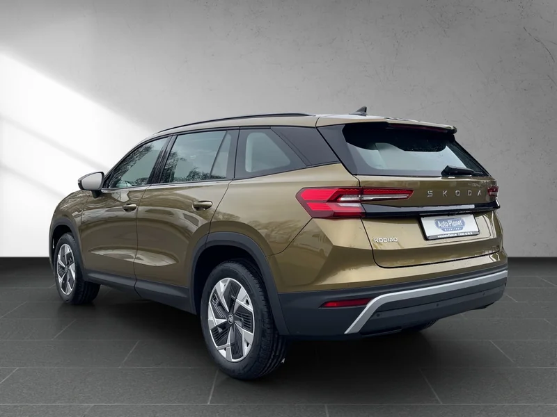 Kodiaq II 1.5 TSI m-HEV DSG Selection