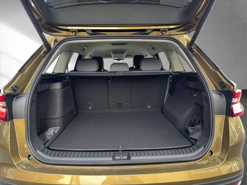 Kodiaq II 1.5 TSI iV DSG Selection