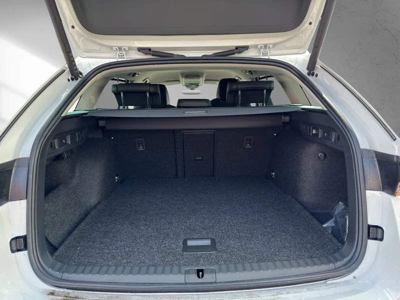 Octavia Combi 1.5 TSI mHEV DSG Balance